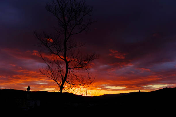 view of tree and hill against the beautiful sunset sky with clouds