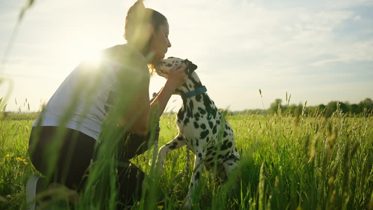 SLO MO Smiling Young Woman Spending Leisure Time with Cute Dalmatian Dog on Grassy Meadow on Sunny Day