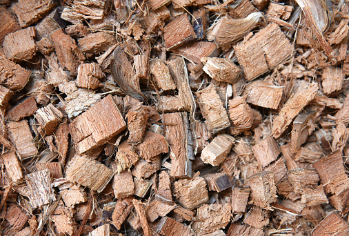 Pile of coconut fiber . coconut husk texture background . Close up view of  chopped coconut husks.
