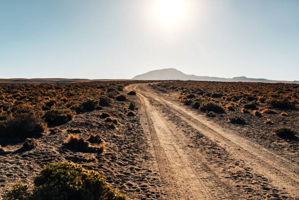 A wide and dusty road stretches through the sparse vegetation of the Atacama Desert in Chile, under a clear blue sky during daylight.