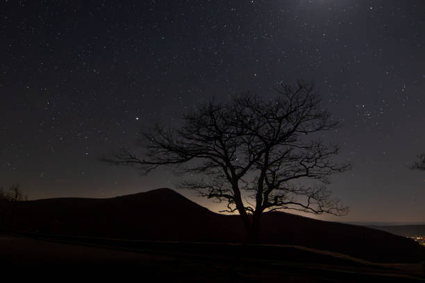 Free Stock Photo of Starry night sky over hill with solitary tree ...