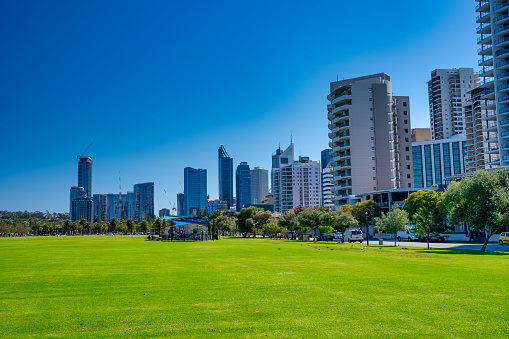 Panorama of lemon scented gum trees and Perth Central Business District from Kings Park, Perth, Australia on 25 October 2019