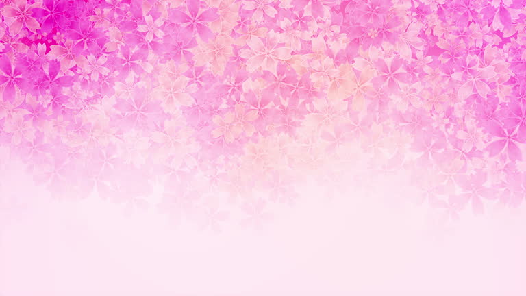 Petals of pink flowers spa background. Flying sakura cherry flower petals elements for romantic loop animation.