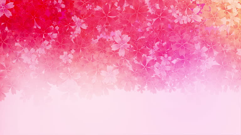 Pink floral petals fall. Abstract animated romantic spring background. Place for text. Looped motion graphics.