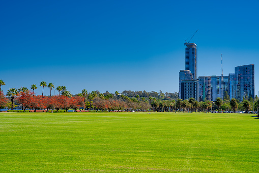 Langley Park and Perth Skyline on a beautiful sunny day, Australia