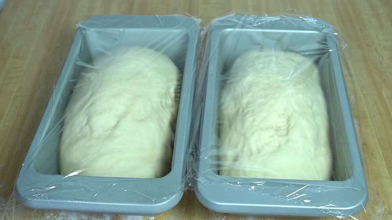 Time-lapse of bread rising in baking pans