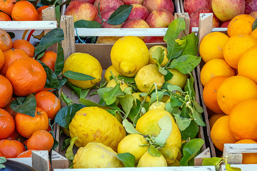 Citrus fruits in boxes for sale at a market
