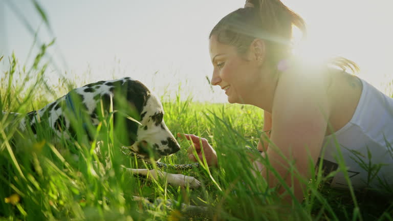 SLO MO Side View of Smiling Young Woman Spending Leisure Time with Cute Dalmatian Dog on Grassy Meadow on Sunny Day
