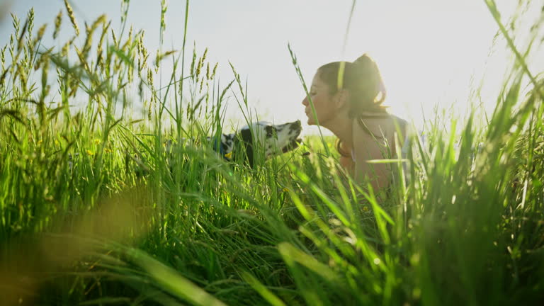 SLO MO Side View Tracking Shot of Happy Woman Kissing Cute Dalmatian Dog Lying on Grassy Meadow on Sunny Day