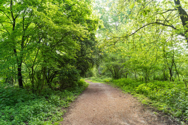 istock wonderful path in the beautiful landscape 2149138871