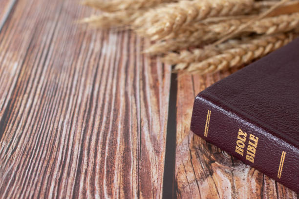 istock Closed holy bible book with ripe wheat on wooden table 2149138935