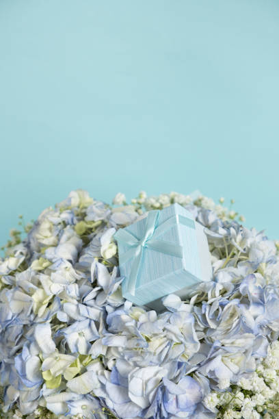 A gift box on a bouquet of hydrangea flowers on a blue background, space for text.