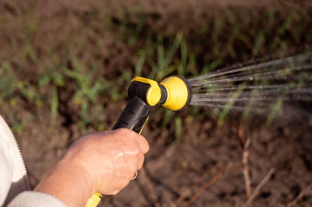 istock Watering the garden with a hose. 2149142347