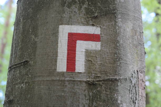 Walking trail marks and signs painted on trees showing direction for hikers on hiking trails in forest in Poland, Europe