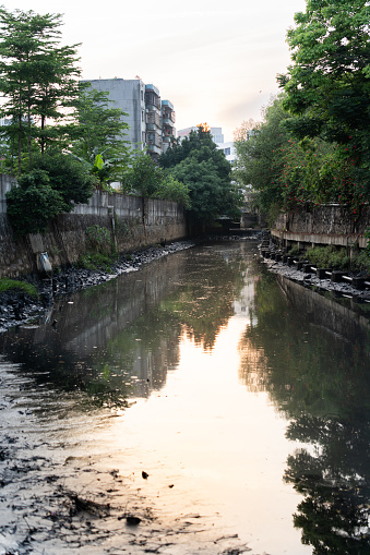 The river is polluted by wastewater discharged from the factory. There is a lot of dirty garbage on the water surface. The trees on both sides of the river grow strongly in the sunshine.