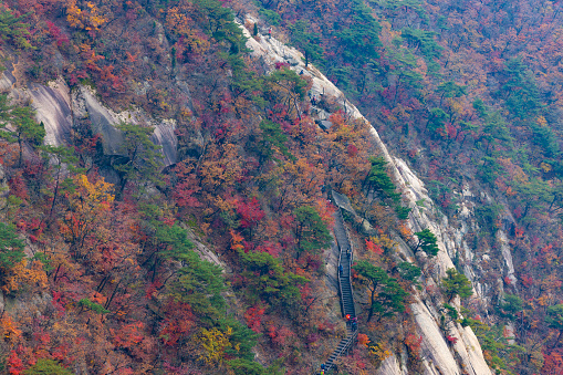colorful bukhansan national park from above in south korea.
