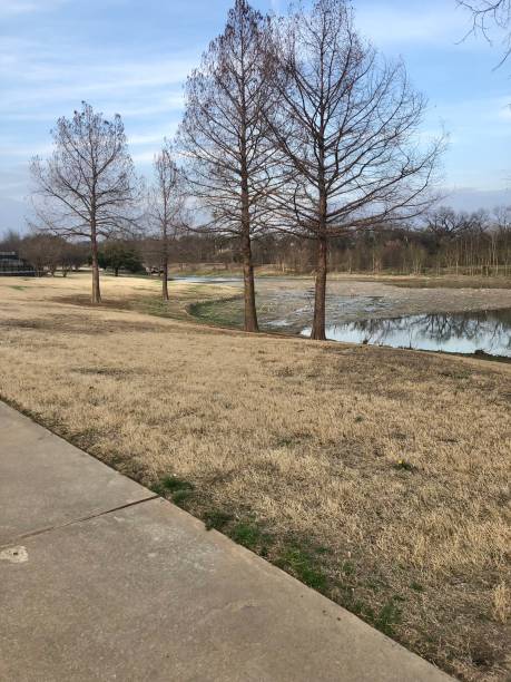 White Rock Creek, Dallas, Texas