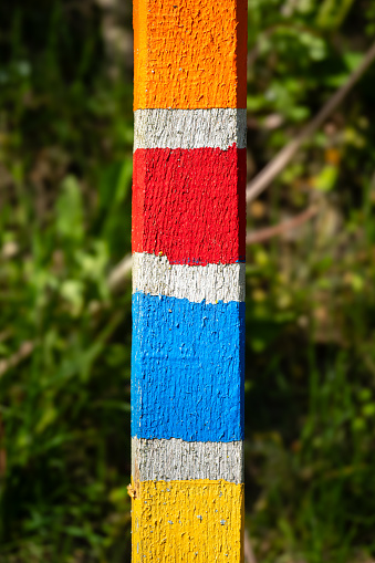 A colorful marking stake along a forest path in nature