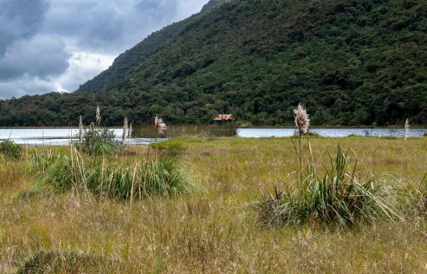 istock Laguna Llaviucu in Ecuadorian Andes 2149149416