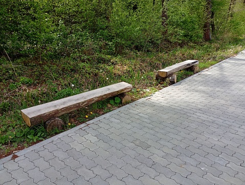 Benches near the park walkway are carved from solid wood. Benches made of tree trunks in a park on a lawn next to a cobblestone path. Themes of recreation in the fresh air and in the park.