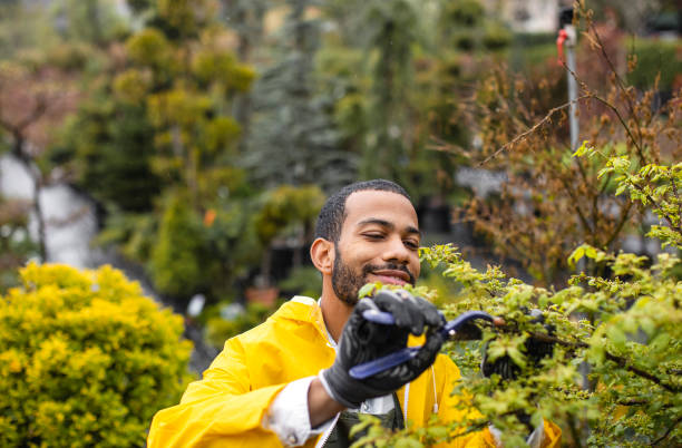istock Gardener Tending Plants at Garden Center 2149151104