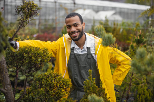 istock Gardening Expert Tending Plants at Nursery 2149151116