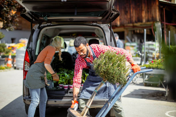 istock Diverse Gardeners Preparing Plants for Transport 2149151161