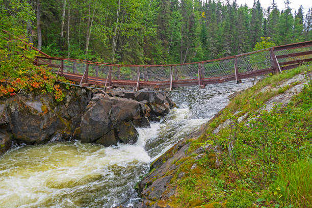 Rushing waters from the Kicking Horse River carves through the rocks at Natural Bridge in Yoho National Park in the Canadian Rockies.
