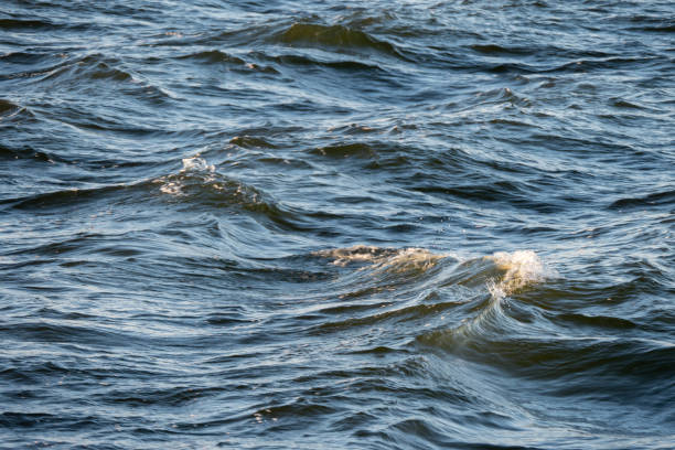 Close-up wave movement on the Baltic Sea