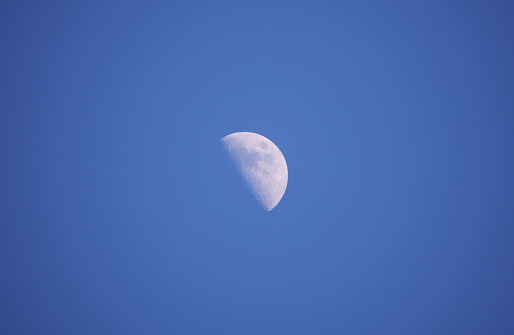 Half moon in a clear blue evening sky as seen from Porteau Cove Provincial Park during a winter season in British Columbia, Canada.