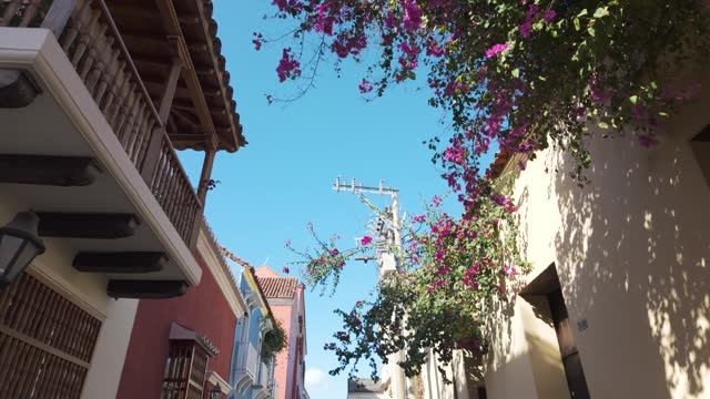 POV Walking Along Old Town Street In Cartagena, Colombia Past Building With Colourful Plants Hanging From Roof