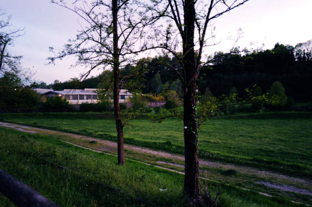 Country road at sunset