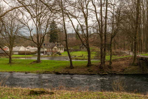 Moravice fresh river in spring cloudy day with trees near Vitkov CZ 03 09 2024