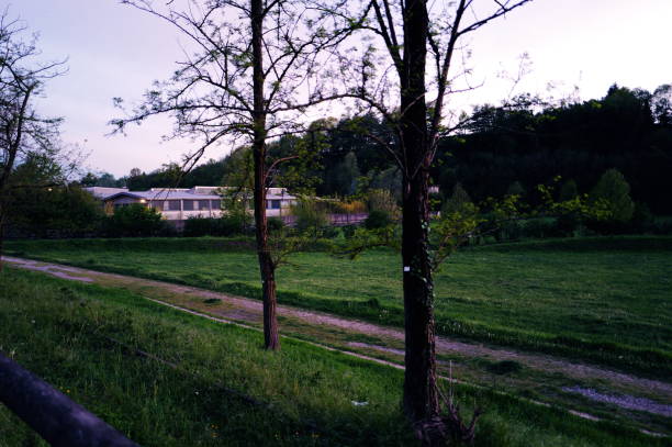 Country road at sunset