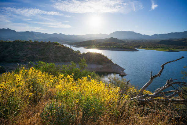 View of California mountains across Lake Havasu in Lake Havasu State Park in Lake Havasu City, Arizona, USA with blue sky copy space.