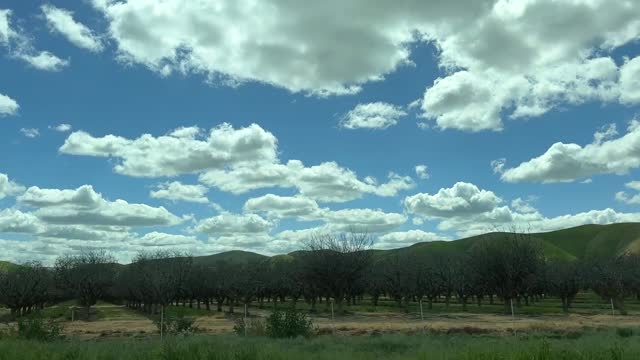Agricultural Farm Land In California, USA; Driving Along The Grapevine.