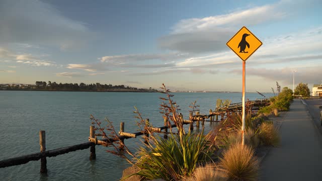 Famous Penguin sign in Caroline Bay Beach, New Zealand. Static view