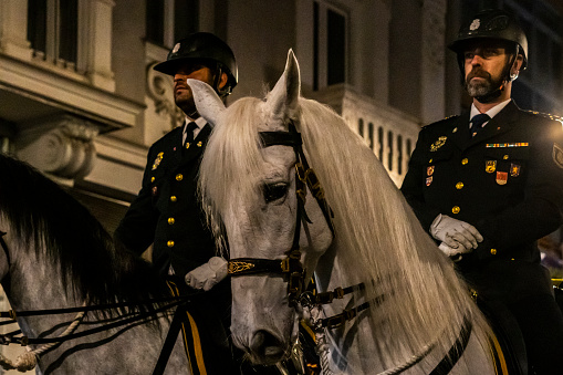 National Guard parading in a procession with a beautiful white horse, procession parade in the streets of Valladolid - Spain