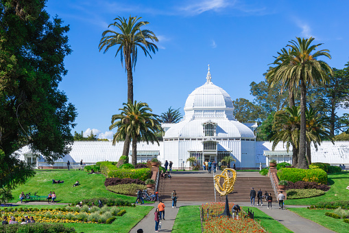 San Francisco, CA, USA. March 30, 2024 : Golden Gate Park on a weekend, with the Conservatory of Flowers and flower beds.