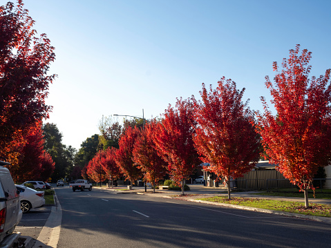 Main street in Porepunkah in the  Victorian High Country with its Autumn trees in full color