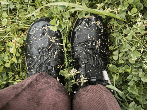 Looking down at my feet: the trekking shoes are covered in seeds released by plants in spring.