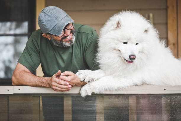 istock mature adult man with samoyed dog 2149176855