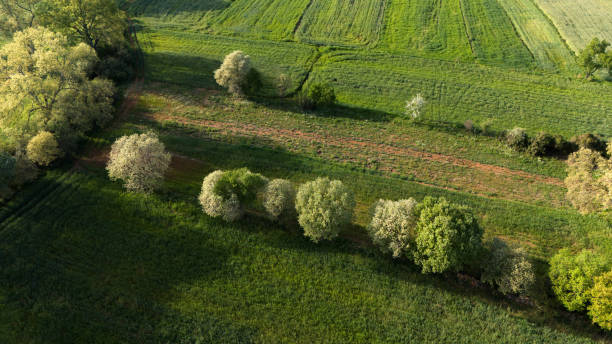 Poland