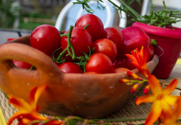 Some red cherry tomatoes on old pottery and bright orange flowers
