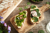 Spring wild edible plants - garlic mustard and goutweed leaves, on slices of sourdough bread
