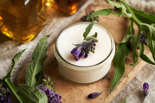 A jar of homemade comfrey ointment with fresh blooming symphytum officinale plant on a table