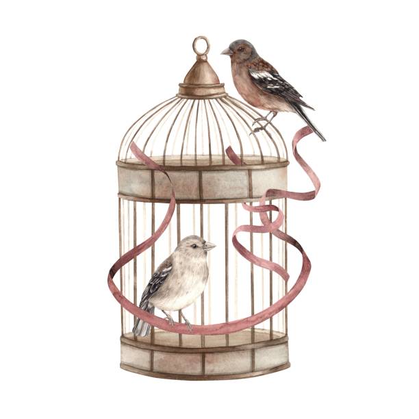 Vintage bronze cage with brown birds and silk ribbons. Isolated watercolor illustration in vintage style. Composition for decoration of cards, wedding design, invitations, textiles, sticker