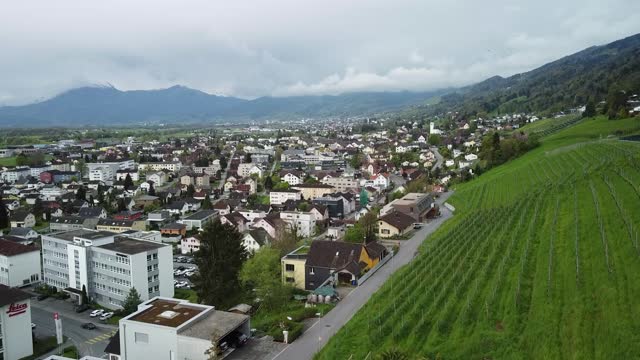 industrial town in the alps, mountain town, hills green grass summer time with vineyards.