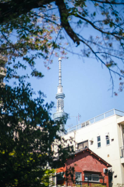 Tokyo Sky Tree seen from a residential area