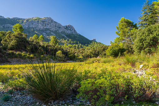Amazing landscapes of Mallorca. Majestic mountains covered with greenery, Sunny day.Mediterranean Sea, Mallorca, Majorca, Balearic Islands